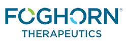 Foghorn Therapeutics Inc.